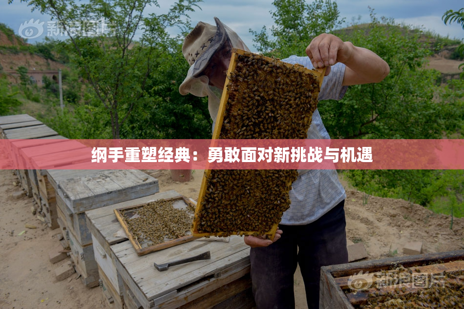 纲手重塑经典：勇敢面对新挑战与机遇