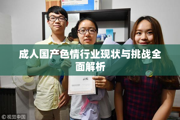 成人国产色情行业现状与挑战全面解析