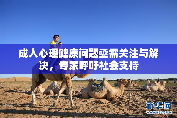 成人心理健康问题亟需关注与解决，专家呼吁社会支持