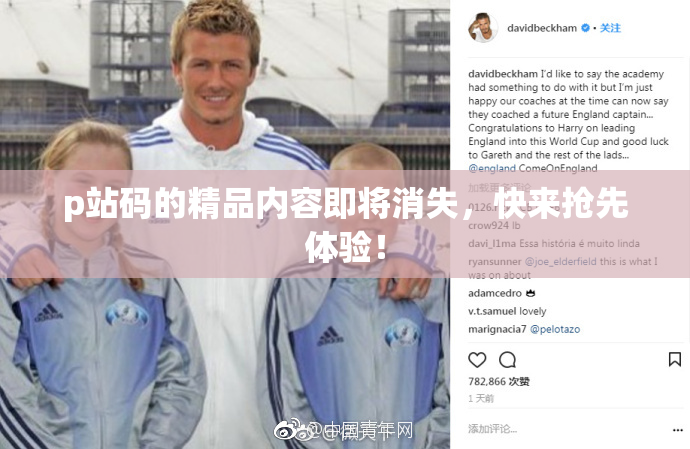 p站码的精品内容即将消失，快来抢先体验！