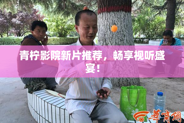 青柠影院新片推荐，畅享视听盛宴！