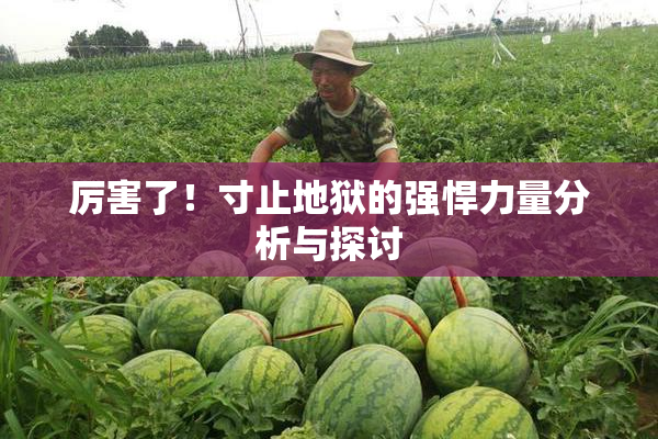 厉害了！寸止地狱的强悍力量分析与探讨