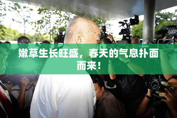 嫩草生长旺盛，春天的气息扑面而来！