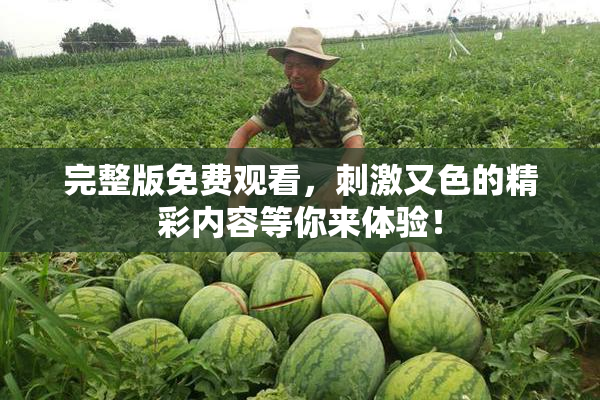 完整版免费观看，刺激又色的精彩内容等你来体验！