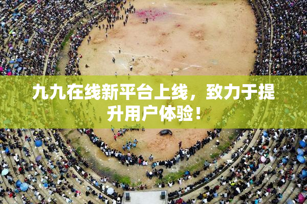 九九在线新平台上线，致力于提升用户体验！