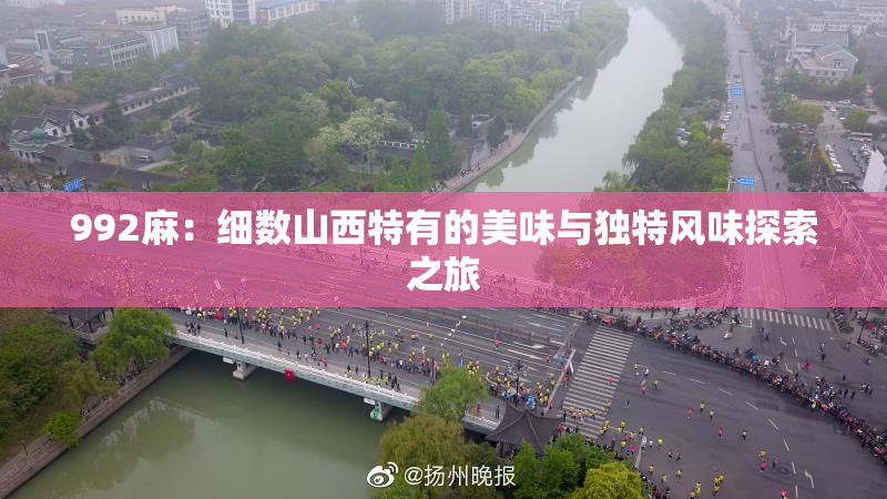 992麻：细数山西特有的美味与独特风味探索之旅