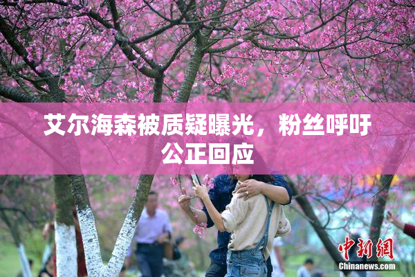 艾尔海森被质疑曝光，粉丝呼吁公正回应