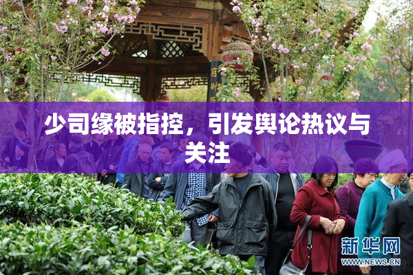 少司缘被指控，引发舆论热议与关注