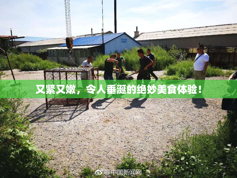 又紧又嫩，令人垂涎的绝妙美食体验！