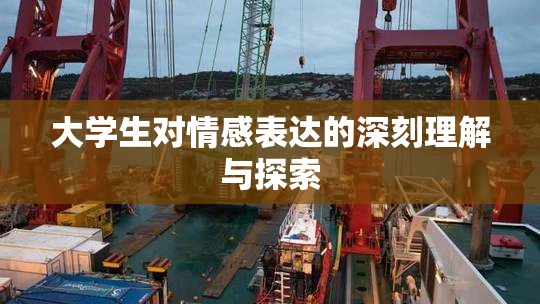 大学生对情感表达的深刻理解与探索