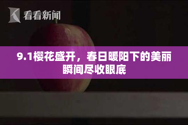 9.1樱花盛开，春日暖阳下的美丽瞬间尽收眼底