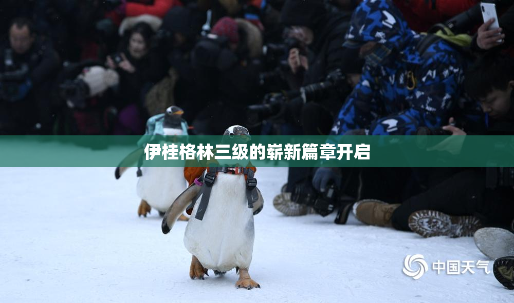 伊桂格林三级的崭新篇章开启