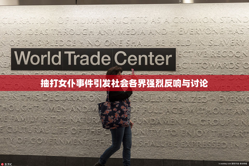 抽打女仆事件引发社会各界强烈反响与讨论