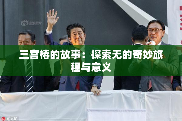 三宫椿的故事：探索无的奇妙旅程与意义