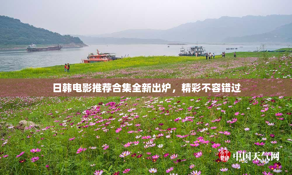日韩电影推荐合集全新出炉，精彩不容错过