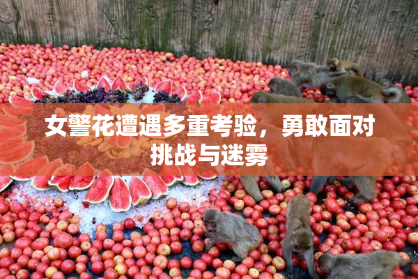 女警花遭遇多重考验，勇敢面对挑战与迷雾