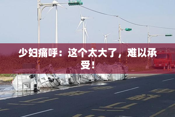 少妇痛呼：这个太大了，难以承受！