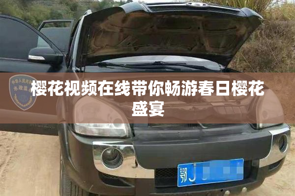 樱花视频在线带你畅游春日樱花盛宴