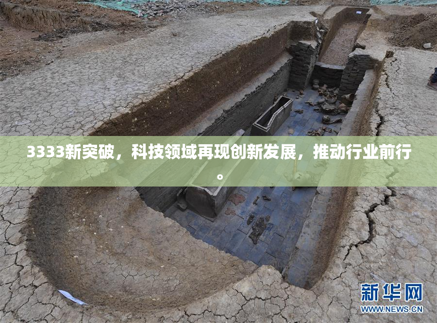 3333新突破，科技领域再现创新发展，推动行业前行。