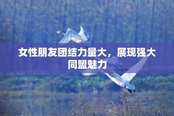 女性朋友团结力量大，展现强大同盟魅力