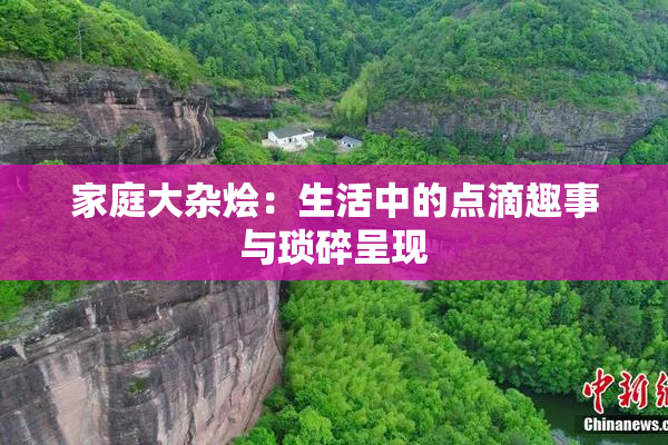 家庭大杂烩：生活中的点滴趣事与琐碎呈现