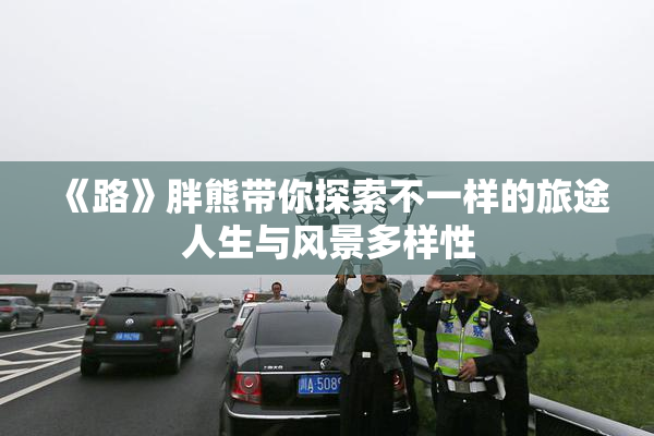 《路》胖熊带你探索不一样的旅途人生与风景多样性
