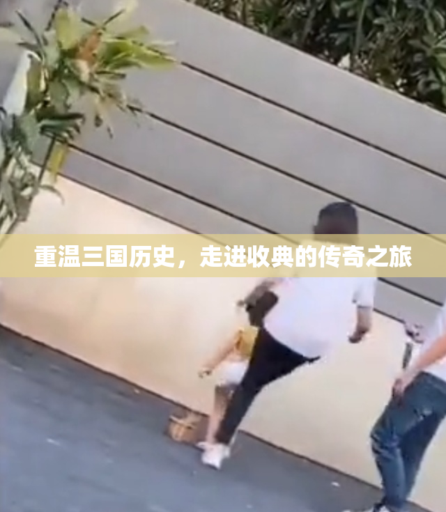 重温三国历史，走进收典的传奇之旅