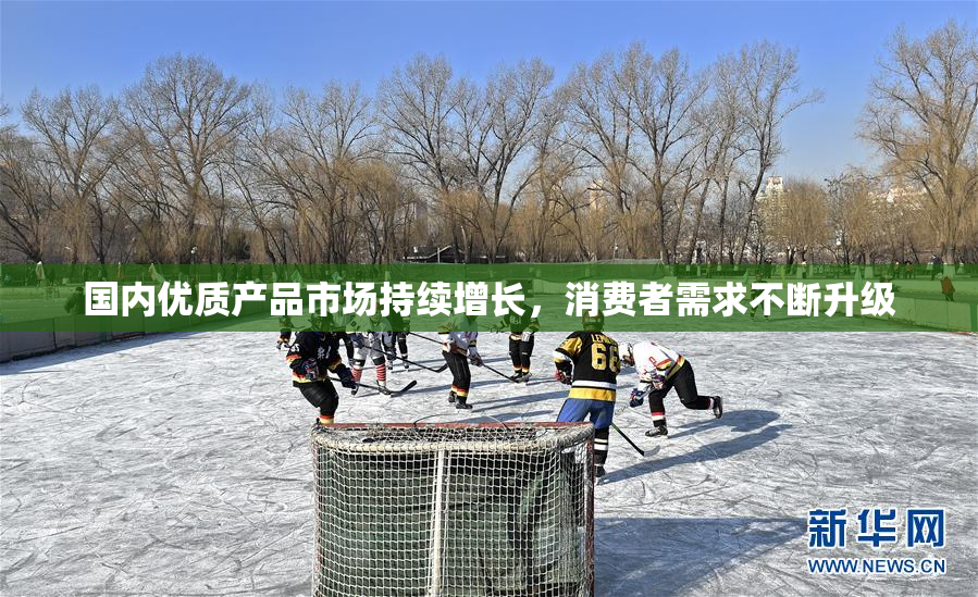 国内优质产品市场持续增长，消费者需求不断升级
