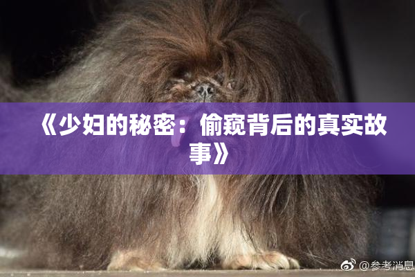 《少妇的秘密：偷窥背后的真实故事》