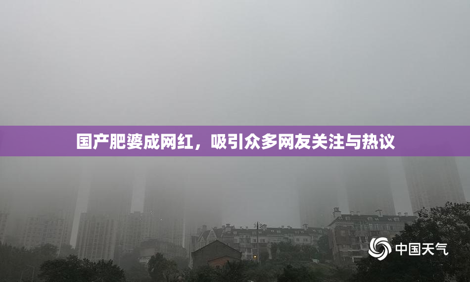 国产肥婆成网红，吸引众多网友关注与热议