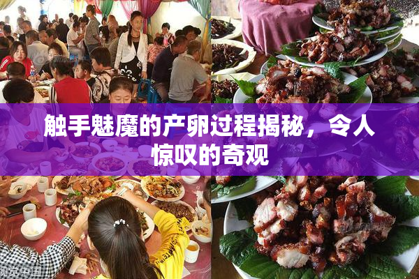 触手魅魔的产卵过程揭秘，令人惊叹的奇观