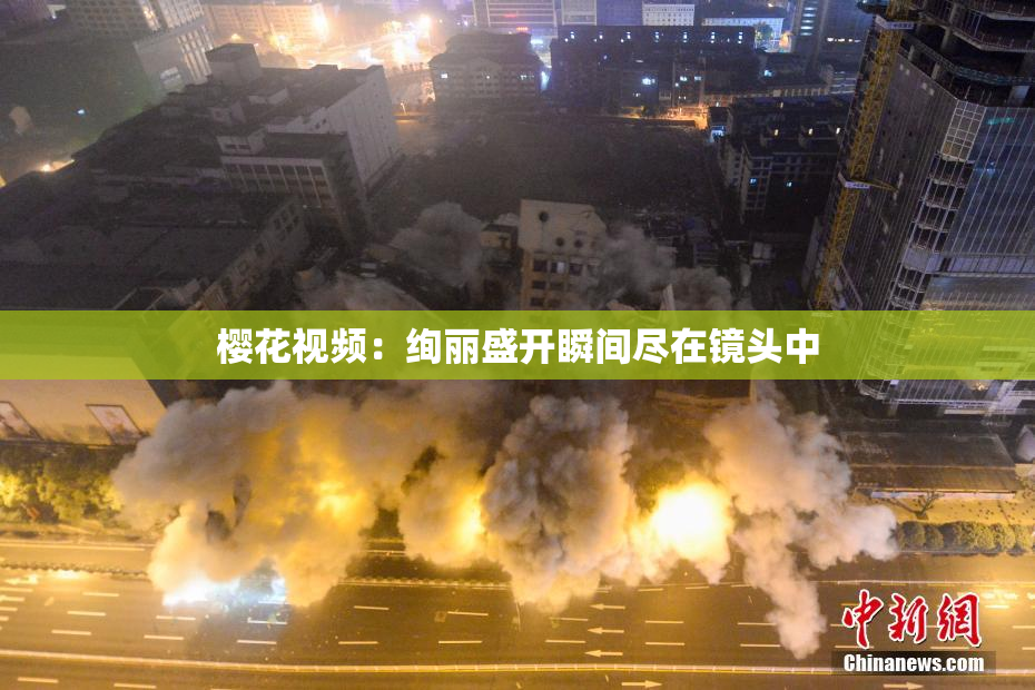 樱花视频：绚丽盛开瞬间尽在镜头中