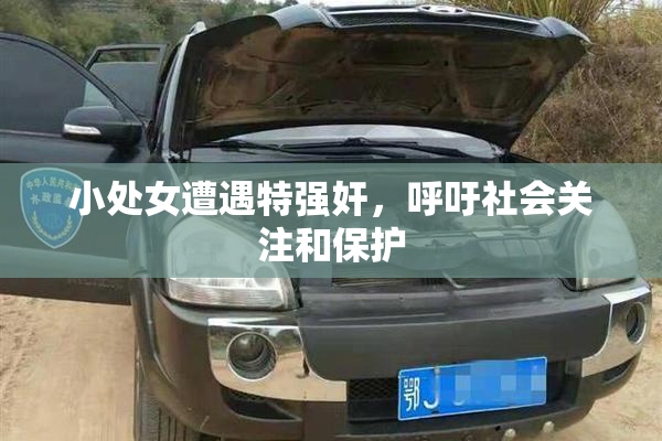 小处女遭遇特强奸，呼吁社会关注和保护
