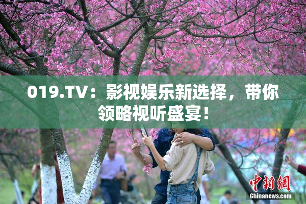 019.TV：影视娱乐新选择，带你领略视听盛宴！