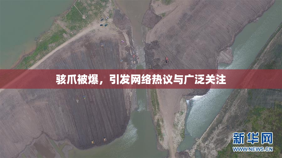 骇爪被爆，引发网络热议与广泛关注