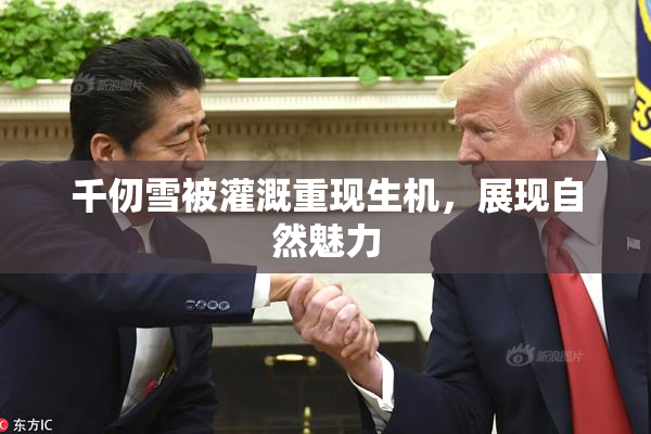 千仞雪被灌溉重现生机，展现自然魅力