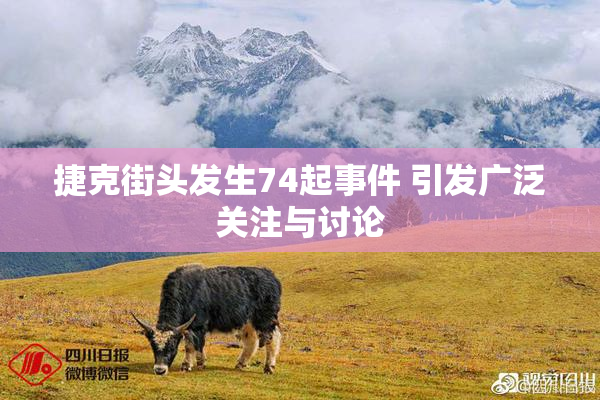 捷克街头发生74起事件 引发广泛关注与讨论