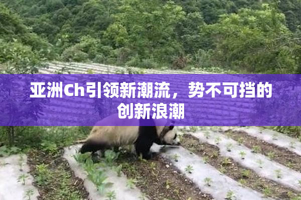 亚洲Ch引领新潮流，势不可挡的创新浪潮
