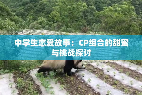 中学生恋爱故事：CP组合的甜蜜与挑战探讨