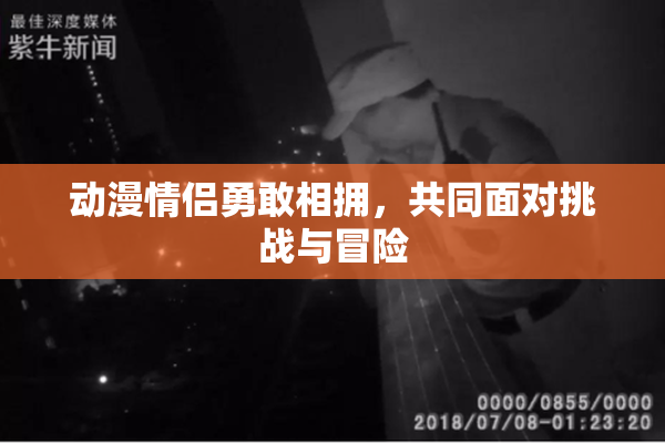 动漫情侣勇敢相拥，共同面对挑战与冒险