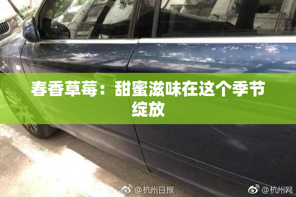 春香草莓：甜蜜滋味在这个季节绽放