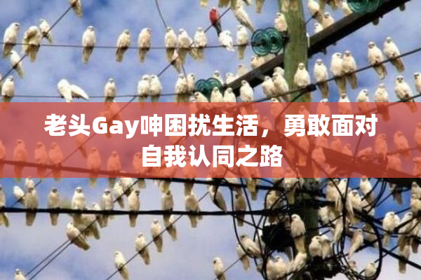 老头Gay呻困扰生活，勇敢面对自我认同之路