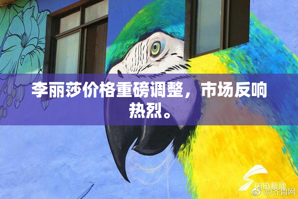 李丽莎价格重磅调整，市场反响热烈。