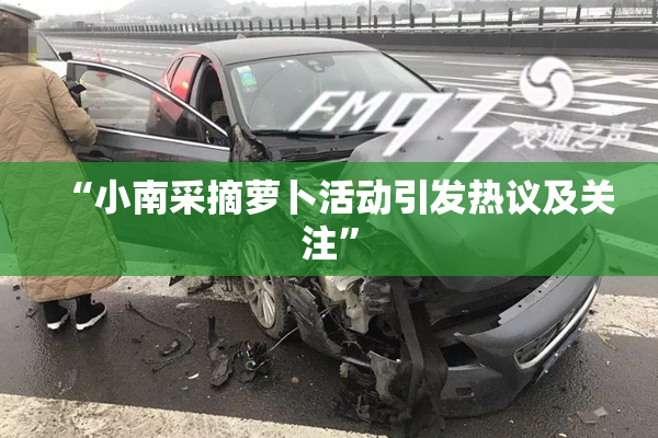 “小南采摘萝卜活动引发热议及关注”