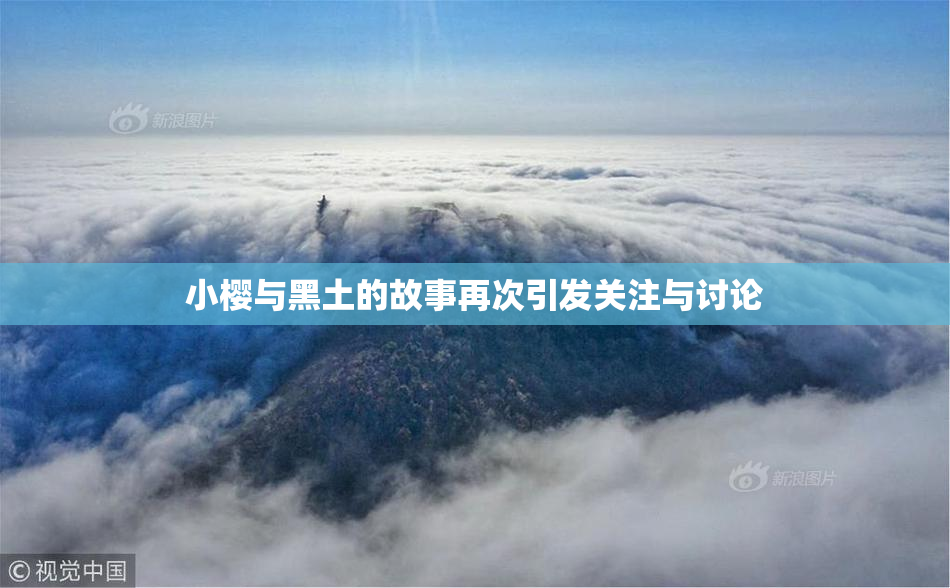 小樱与黑土的故事再次引发关注与讨论