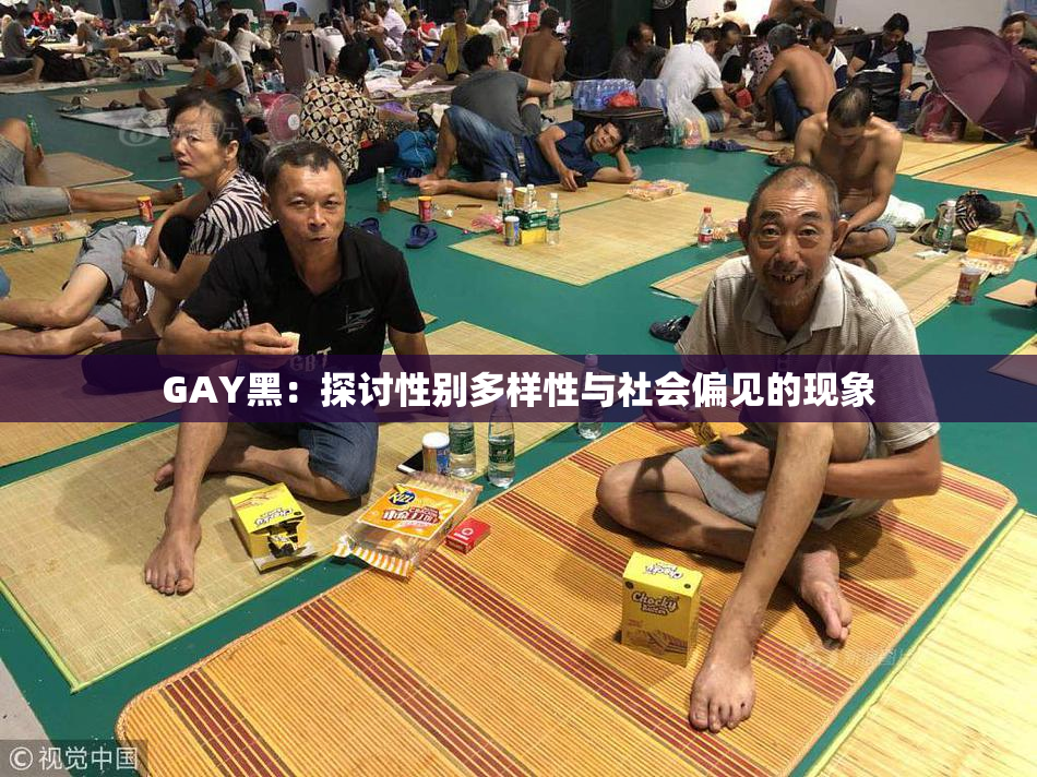 GAY黑：探讨性别多样性与社会偏见的现象