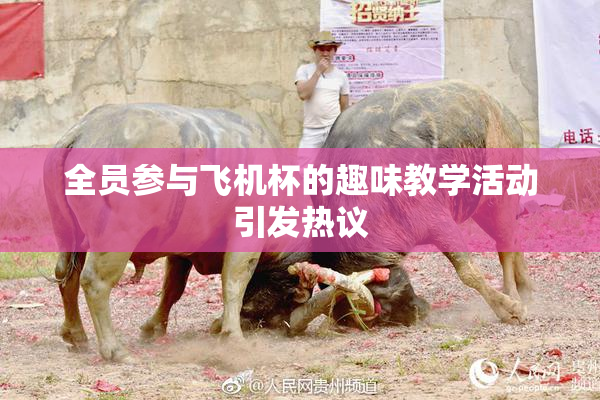 全员参与飞机杯的趣味教学活动引发热议
