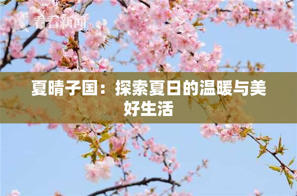 夏晴子国：探索夏日的温暖与美好生活