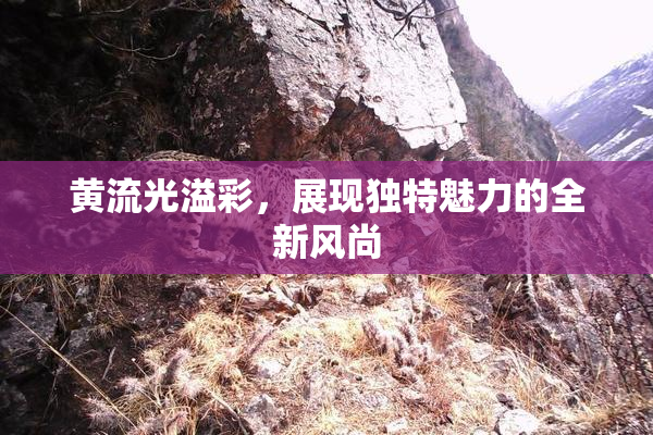 黄流光溢彩，展现独特魅力的全新风尚