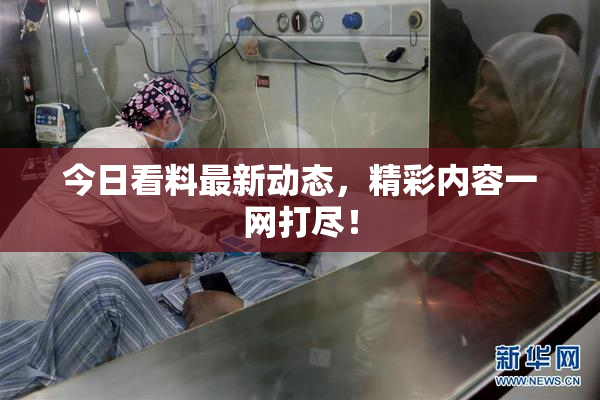 今日看料最新动态，精彩内容一网打尽！